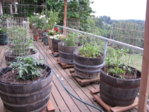 container-garden-example