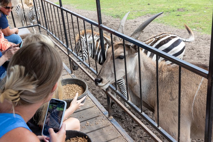 Dutch Creek Animal Park